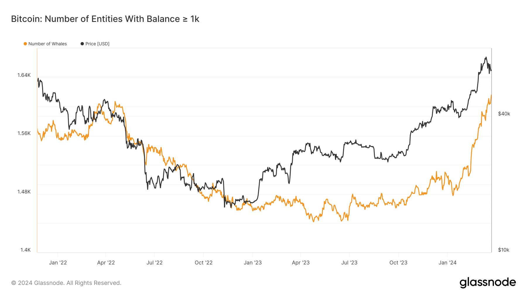 Bitcoin Whales